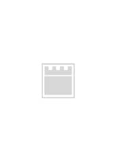 Chapter, Produzioni locali e importazioni savonesi di maioliche a smalto berettino all'Alhambra di Granada (XVI secolo) : dati archeologici e archeometrici preliminari, All'insegna del giglio